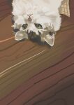  absurdres animal cat commentary green_eyes highres katakai no_humans original wooden_floor 