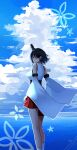  1girl black_hair blue_sky clouds day detached_sleeves dress feet_out_of_frame from_behind hair_ornament highres horizon kantai_collection katsuobushi_(eba_games) looking_at_viewer looking_back ocean outdoors pleated_dress red_eyes red_skirt reflection short_hair skirt sky solo standing wide_sleeves yamashiro_(kancolle) 