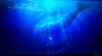  1girl absurdres animal artist_name blue_theme character_request fantasy fish from_behind genshin_impact glowing highres jellyfish long_hair scenery skyrick9413 standing underwater watermark web_address whale 