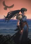  1girl bird commentary fire_emblem fire_emblem:_the_blazing_blade from_side green_hair highres illustman_(u_ip8s) long_hair lyn_(fire_emblem) pelvic_curtain ponytail profile red_sky side_slit sky solo sword weapon 