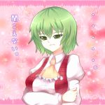  ascot breast_hold confession frown greave_(artist) green_eyes green_hair kazami_yuuka plaid_vest pov puffy_sleeves touhou translated translation_request 