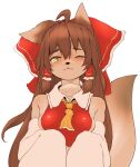  1girl ahoge animal_ears bare_shoulders blush bow breasts brown_eyes brown_hair closed_mouth dog_ears dog_tail furrification furry hair_bow hair_ornament hair_tubes hakurei_reimu hawthorn highres japanese_clothes long_hair looking_at_viewer miko one_eye_closed shiny shiny_hair simple_background small_breasts solo tail touhou upper_body white_background 