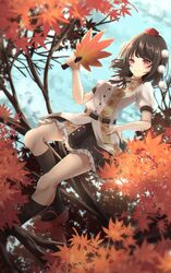  1girl autumn_leaves bangs belt black_belt black_legwear black_neckwear black_ribbon black_skirt blush branch breasts brown_hair collared_shirt commentary_request fall_(5754478) frilled_skirt frills geta hand_on_hip hauchiwa highres in_tree leaf-pattern_stripe leaf_print long_hair medium_breasts no_wings pom_pom_(clothes) puffy_short_sleeves puffy_sleeves red_eyes red_footwear ribbon ribbon-trimmed_skirt ribbon_trim shameimaru_aya shirt short_hair short_sleeves sitting sitting_in_tree skirt smile solo tengu-geta touhou tree white_shirt wing_collar 