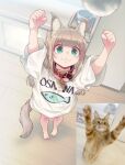 40hara :3 animal_print arms_up bangs blonde_hair blunt_bangs blush buckle cat cat_ears cat_girl cat_tail collar counter fish_print green_eyes highres kinako_(40hara) long_hair looking_at_viewer motion_blur name_tag original oversized_clothes oversized_shirt photo_inset red_collar reference_inset shirt sidelocks standing tail white_shirt white_t-shirt wooden_floor