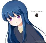  1girl bangs black_jacket blue_hair blush brown_shirt closed_mouth commentary_request eyebrows_visible_through_hair hair_between_eyes hair_down jacket long_hair looking_at_viewer mitya pinecone shima_rin shirt simple_background smile solo translation_request twitter_username upper_body very_long_hair violet_eyes white_background yurucamp 