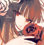  1girl bangs brown_hair collared_shirt commentary eyebrows_visible_through_hair flower ib ib_(ib) portrait red_eyes red_flower red_rose rose shirt signature sofra solo twitter_username white_shirt 