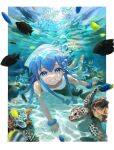  1girl blue_eyes bracelet bubble clownfish coral fish hat ikamusume jewelry sea_turtle shinryaku!_ikamusume smile suketoudara_(artist) tentacle_hair turtle underwater 