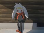  against_wall arinsu_(kodamamaimai) commentary_request grate hands_in_pockets highres looking_to_the_side pokemon pokemon_(creature) raboot red_eyes shadow solo standing toes 