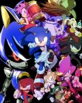  amy_rose big_the_cat bodysuit charmy_bee cheese_(sonic) cream_the_rabbit dr._eggman e-123_omega espio_the_chameleon everyone furry furry_female furry_male hammer holding holding_hammer knuckles_the_echidna metal_sonic robot rouge_the_bat shadow_the_hedgehog sonic_(series) sonic_heroes sonic_the_hedgehog tails_(sonic) tondamanuke vector_the_crocodile 