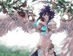  1boy angel_wings aobane1022 apple bangs blue_eyes blue_hair braid branch commentary_request detached_sleeves eating feathered_wings flower food fruit genshin_impact gold_bracelet gold_trim grass headwear_removed highres hood hood_down leaf lily_(flower) looking_at_viewer male_focus multicolored_hair navel otoko_no_ko short_shorts shorts stomach twin_braids two-tone_hair upper_body venti_(genshin_impact) vision_(genshin_impact) white_shorts wings 