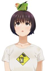  1girl animal_on_head animal_request bangs bird bird_request breasts brown_eyes brown_hair collarbone eyebrows_behind_hair looking_away looking_up mattaku_mousuke on_head original parted_lips print_shirt shirt short_hair short_sleeves simple_background small_breasts solo thick_eyebrows twitter_username upper_body upper_teeth white_background white_shirt 