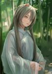  1girl animal_ears bamboo bamboo_forest blurry blurry_background cat_ears depth_of_field fkey forest green_background grey_hair hair_between_eyes highres japanese_clothes kimono long_hair long_sleeves nature original outdoors parted_lips pink_eyes sleeves_past_wrists solo upper_body white_kimono 