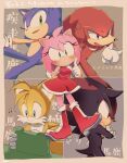  1girl 4boys amy_rose blue_eyes blush boots crossed_arms dress furry furry_female furry_male gloves green_eyes knuckles_the_echidna multiple_boys musical_note red_dress red_eyes red_footwear running shadow_the_hedgehog smile sonic_(series) sonic_the_hedgehog tails_(sonic) thinking tondamanuke translation_request violet_eyes white_gloves 