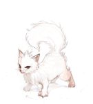  cat claws fur kitten simple_background tachikawa_mushimaro tail 