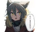  1girl animal_ears arknights chinese_text commentary eyebrows_visible_through_hair fur-trimmed_hood fur_trim grey_hair hood jacket long_hair looking_at_viewer mask mask_around_neck portrait projekt_red_(arknights) red_jacket shirt simple_background sketch solo speech_bubble translation_request white_background white_shirt wolf_ears yellow_eyes yufeng_kaete 
