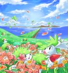  :d closed_mouth clouds commentary_request d-nezumi day flower grass green_eyes mythical_pokemon no_humans open_mouth outdoors petals pokemon pokemon_(creature) shaymin shaymin_(land) shaymin_(sky) sky smile tongue water 