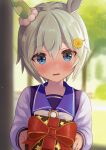  1girl animal_ears bangs blue_eyes blue_shirt blurry blurry_background bow box depth_of_field eyebrows_visible_through_hair flower gift gift_box grey_hair hair_between_eyes hair_flower hair_ornament hairclip highres holding holding_gift horse_ears long_sleeves looking_at_viewer masshirokachi parted_lips school_uniform seiun_sky_(umamusume) shirt short_hair solo star_(symbol) star_print tracen_school_uniform umamusume upper_body wavy_mouth white_bow yellow_flower 