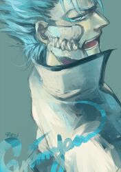  bleach blue_eyes blue_hair grimmjow_jaegerjaquez grimmjow_jaggerjack sanbonzakura skull solo 