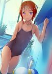  1girl bangs bird blue_swimsuit blush collarbone commentary_request commission competition_school_swimsuit cowboy_shot elpeo_puru flat_chest gundam gundam_zz highres looking_at_viewer one-piece_swimsuit orange_hair penguin plant ponytail poolside potted_plant school_swimsuit short_hair skeb_commission smile sody solo swimsuit violet_eyes wet window 
