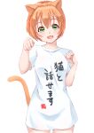  1girl :3 :o absurdres animal_ears cat_ears cat_girl cat_tail curled_fingers eyebrows_visible_through_hair green_eyes hair_between_eyes hand_up highres kobayashi_nyoromichi long_shirt love_live! love_live!_sunshine!! mogyutto_&quot;love&quot;_de_sekkin_chuu! nekomata open_mouth orange_hair paw_pose short_hair simple_background solo tail tail_raised translation_request white_background 