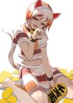  animal_ears bare_legs barefoot bell black_collar brown_eyes calico cat_ears cat_tail coin collar fang feet_out_of_frame fingernails frilled_shirt frilled_skirt frills full_body gesture gold goutokuji_mike jingle_bell kerok_(joniko1110) koban_(gold) long_fingernails maneki-neko midriff multicolored multicolored_clothes multicolored_hair multicolored_shirt multicolored_skirt multicolored_tail navel neck_bell patches patchwork_clothes paw_pose revision shirt short_sleeves simple_background sitting skirt streaked_hair tail touhou wariza white_background 