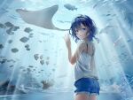  1girl aquarium bangs blue_eyes blue_hair braid commentary_request dolphin fish misakino_kukuru sayuuiede shiny shiny_hair shiroi_suna_no_aquatope short_hair short_shorts shorts side_braid solo stingray 