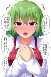  1girl bangs blush breasts commentary_request eyebrows_visible_through_hair fusu_(a95101221) green_hair highres kazami_yuuka large_breasts long_sleeves nose_blush open_mouth red_eyes short_hair simple_background solo speech_bubble touhou translation_request upper_body white_background 