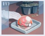  1other ball border coin commentary_request gloves in_container poke_ball poke_ball_(basic) pokemon pokemon_(creature) porygon pot pushing torinoko_(miiko_draw) tray white_gloves 