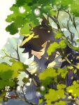  1boy branch fengxi_(the_legend_of_luoxiaohei) hair_over_eyes highres leaf long_hair plant pointy_ears profile smile solo the_legend_of_luo_xiaohei tree upper_body yunomoto 