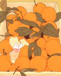  animal_focus blanket box closed_eyes dot_mouth facing_viewer film_grain food food_focus fruit in_food leaf long_sleeves mandarin_orange muted_color no_humans no_mouth original puffy_long_sleeves puffy_sleeves rii_abrego signature sleeping undersized_animal wide_shot 