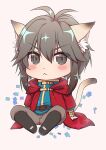  1boy :&lt; absurdres animal_ear_fluff animal_ears antenna_hair bangs belt black_belt black_footwear blue_shirt blush_stickers boots brown_hair brown_pants cat_boy cat_ears cat_tail cheshire_(ragnarok_online) chibi cloak closed_mouth commentary_request eyebrows_visible_through_hair full_body grey_eyes hair_between_eyes highres long_sleeves looking_at_viewer male_focus manoji medium_hair pants ragnarok_online red_cloak shirt simple_background solo sparkling_eyes tail v-shaped_eyebrows white_background 