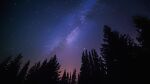  commentary_request highres nature no_humans original pine_tree scenery sky star_(sky) starry_sky tree user_juaw2573 