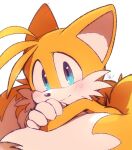  1boy blue_eyes blush commentary_request fox_boy fox_tail furry furry_male gloves looking_at_viewer male_focus misuta710 multiple_tails simple_background solo sonic_(series) tail tails_(sonic) two_tails white_background white_gloves 