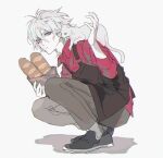  1boy apron baguette black_apron black_footwear blue_eyes bread brown_pants cat closed_mouth colored_skin ebanoniwa fate/grand_order fate_(series) food grey_hair hand_up holding karna_(fate) male_focus pants red_shirt shirt shoes simple_background solo squatting white_background white_skin 