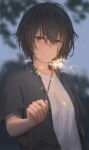  1girl bangs black_hair breasts brown_eyes fireworks free_style_(yohan1754) highres kaenbyou_rin large_breasts looking_at_viewer open_clothes open_shirt short_hair short_sleeves smile solo sparkler 