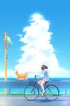  1girl absurdres blue_hair blue_shirt cat clouds colored_inner_hair english_commentary highres looking_to_the_side multicolored_hair ocean original pink_shorts riding_bicycle scenery shirt shoes shorts sign sky sneakers solo tama_gotoh white_shirt yoruny 