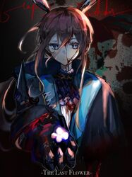  1girl amiya_(arknights) amiya_(guard)_(arknights) animal_ears arknights ascot black_background black_coat blood blood_on_clothes blood_on_face blood_on_wall blue_coat blue_eyes brown_hair chinese_commentary closed_mouth coat commentary_request cursive english_text flower frilled_ascot frills grey_background highres holding holding_flower incoming_gift kkkovo long_hair long_sleeves looking_at_viewer purple_neckwear rabbit_ears smile solo upper_body 