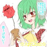  ascot blush bust flower green_hair kazami_yuuka lowres open_mouth plaid_vest plant potted_plant red_rose riku_yama rose smile sunglasses thorns touhou translated translation_request 