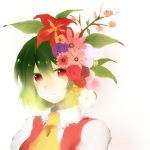  ascot bad_id flower green_hair hair_flower hair_ornament kazami_yuuka portrait red_eyes short_hair smile touhou vest 