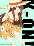  brown_hair dress glasses hat k-on! long_hair niwatori_kokezou solo strap_slip sundress yamanaka_sawako 