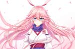  1girl animal_ears bangs bare_shoulders blue_eyes closed_mouth enico fox_ears hair_between_eyes highres honkai_(series) honkai_impact_3rd japanese_clothes kimono long_hair looking_at_viewer miko petals pink_eyes pink_hair simple_background solo violet_eyes white_background yae_sakura yae_sakura_(gyakushinn_miko) 