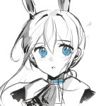  1girl amiya_(arknights) animal_ears arknights ascot blue_eyes commentary_request face greyscale highres kkkovo light_blush long_hair looking_at_viewer monochrome parted_lips portrait rabbit_ears sketch solo spot_color 