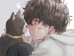  1boy amamiya_ren bandage_on_face bandages bangs black_cat black_eyes black_hair bruise bruise_on_face cat closed_eyes closed_mouth collar from_side hair_between_eyes hood hood_down hoodie injury male_focus morgana_(persona_5) noses_touching paw_print persona persona_5 portrait profile sawa2 simple_background white_hoodie yellow_collar 