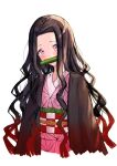  1girl absurdres bit_gag black_hair covered_mouth forehead gag gradient_hair highres japanese_clothes kamado_nezuko kimetsu_no_yaiba kimono looking_at_viewer messy_hair multicolored_hair obi pink_eyes redhead sash shiro0100 sidelocks simple_background solo streaked_hair two-tone_hair white_background 