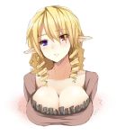  breasts cleavage drill_hair enshin heterochromia large_breasts original pointy_ears red_eyes solo 