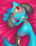  absurdres blush commentary fang from_above highres looking_back no_humans nullma open_mouth pokemon pokemon_(creature) red_eyes riolu shiny smile solo tongue 