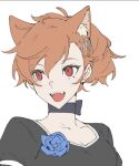  1girl animal_ear_fluff animal_ears black_dress blue_flower blush brown_hair cat_ears choker dress extra_ears fangs flower hair_ornament kemonomimi_mode neck_ribbon open_mouth persona persona_3 persona_3_portable portrait red_eyes ribbon shiomi_kotone simple_background solo tongue white_background xing_20 