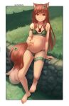  1girl animal_ears artist_name blush border bra breasts closed_mouth clover_hair_ornament collarbone eyebrows_visible_through_hair full_body grass green_bra green_panties hair_ornament highres holo looking_at_viewer navel outdoors panties pregnant red_eyes seraziel shiny shiny_hair sitting small_breasts smile solo spice_and_wolf tail underwear white_border wolf_ears wolf_tail 