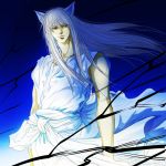  animal_ears fox_ears koka_tin long_hair male silver_hair solo youko_kurama yu_yu_hakusho yuu_yuu_hakusho 