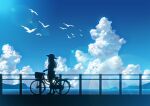  1girl bicycle bird blue_sky clouds commentary_request day fence flying ground_vehicle hachio81 hat highres island long_hair ocean original scenery silhouette sky solo summer sunlight 